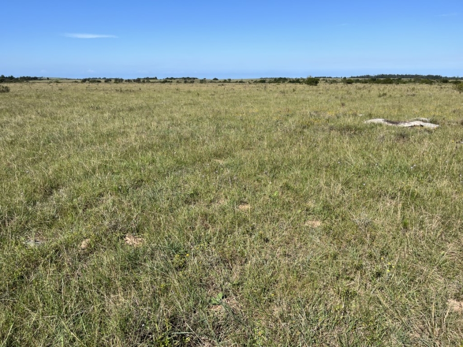 Commercial Property for Sale in Bathurst Rural Eastern Cape